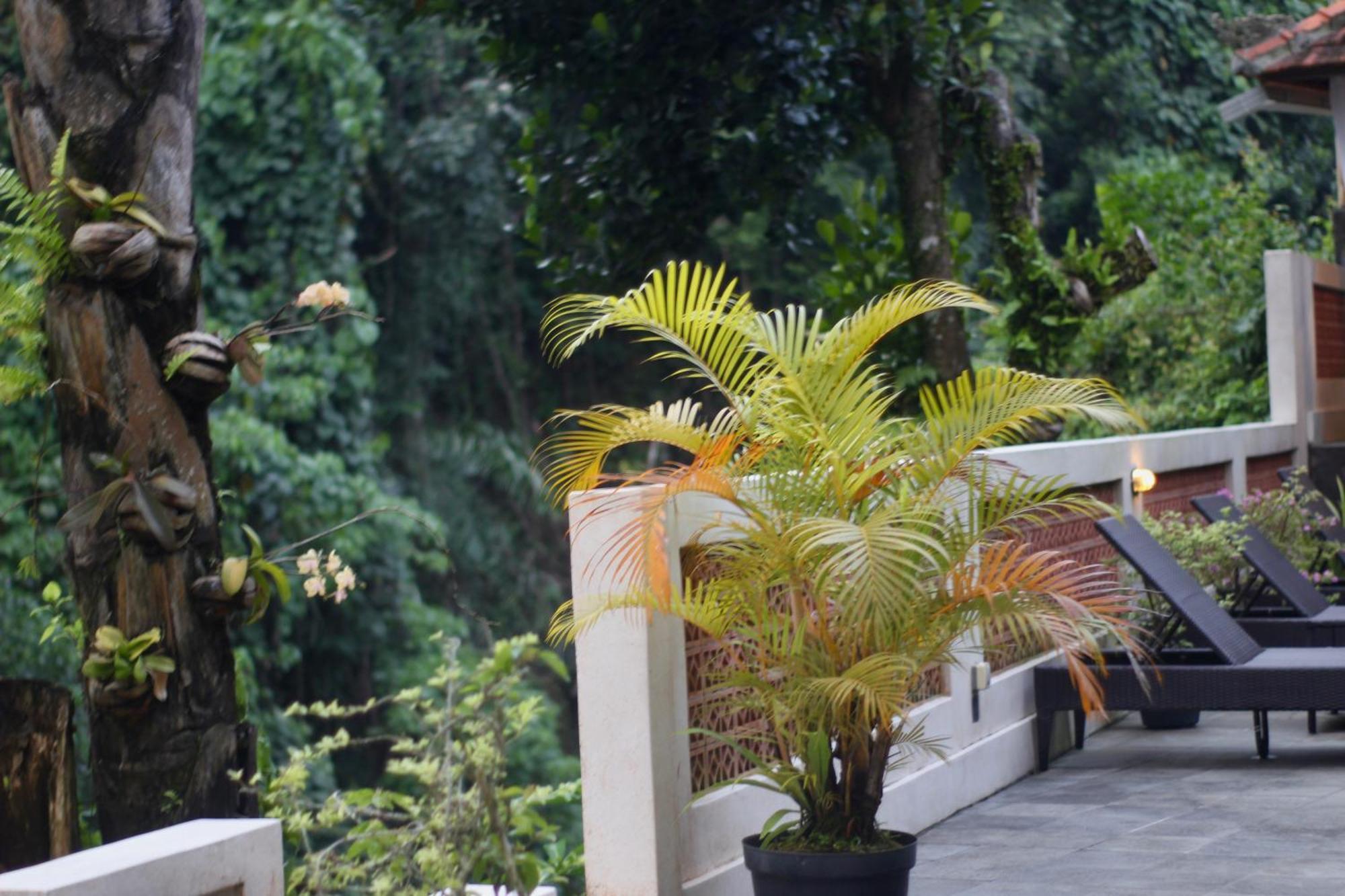 Hanaka Riverside Ubud Εξωτερικό φωτογραφία