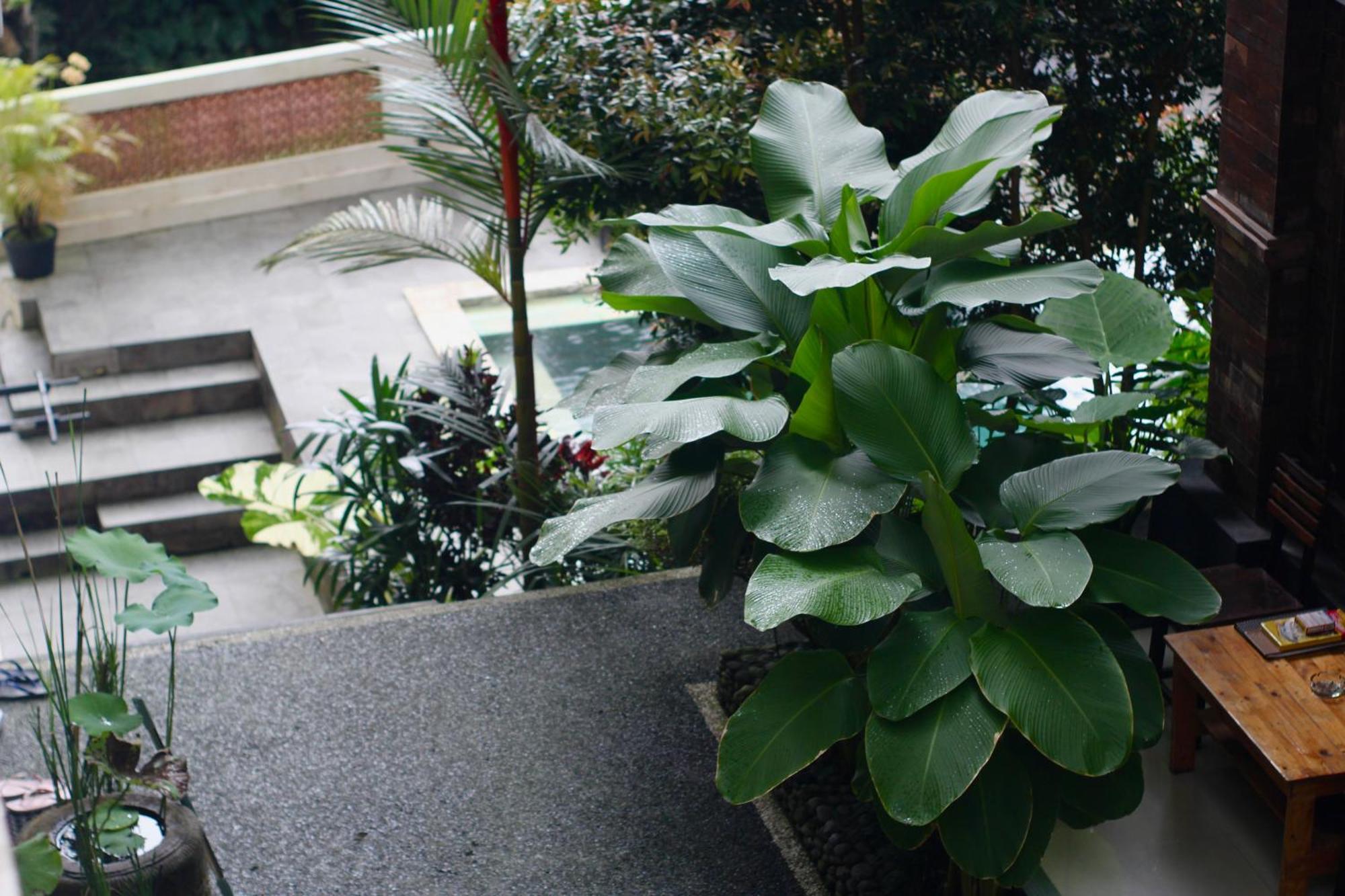 Hanaka Riverside Ubud Εξωτερικό φωτογραφία