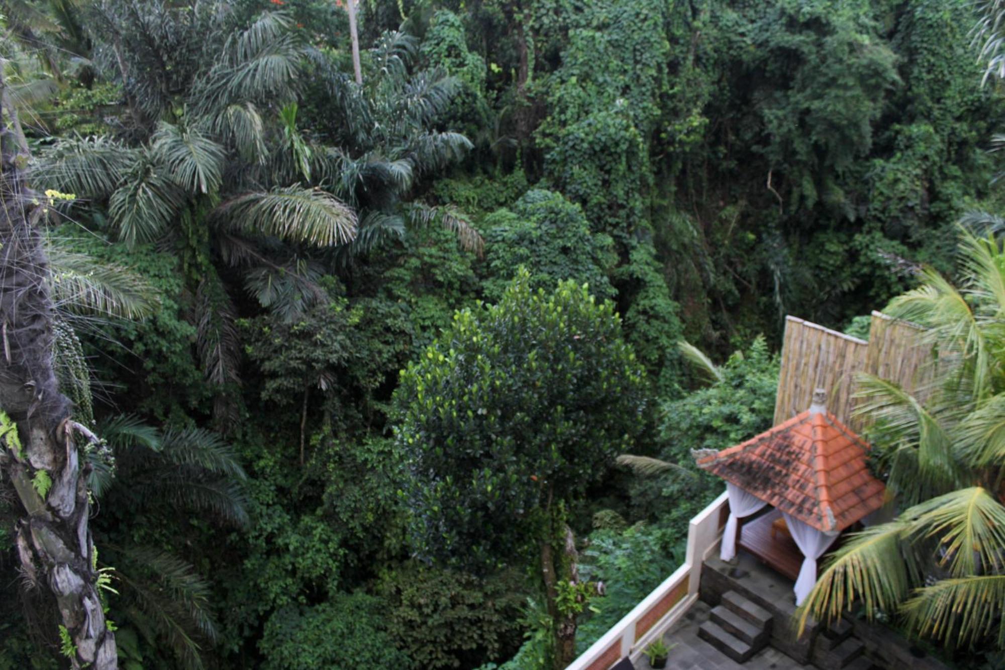 Hanaka Riverside Ubud Εξωτερικό φωτογραφία